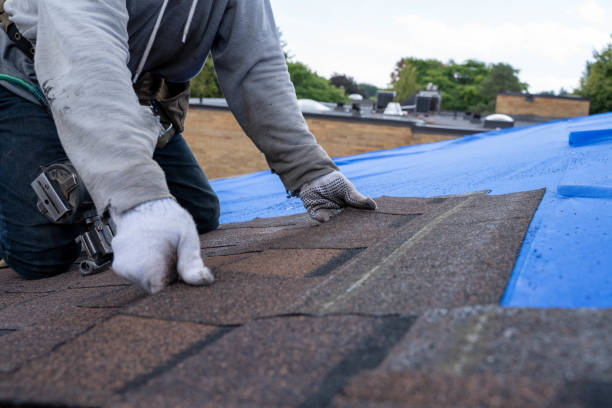 Best Residential Roof Replacement  in Oliver Springs, TN