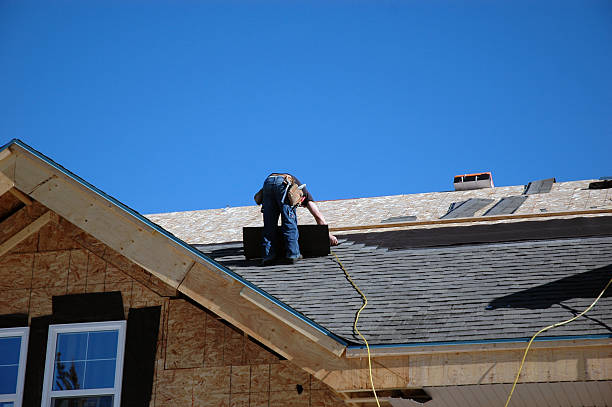 Best Roof Gutter Cleaning  in Oliver Springs, TN