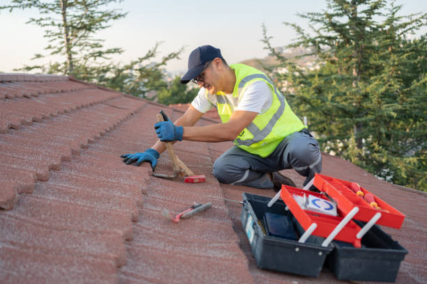 Best Roof Repair Services  in Oliver Springs, TN